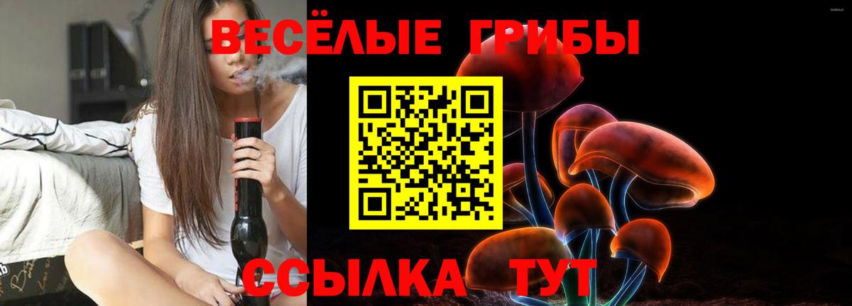 Обь  как найти закладки  Вход с VPN  Псилоцибиновые грибы мухоморы 